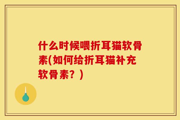 什么时候喂折耳猫软骨素(如何给折耳猫补充软骨素？)