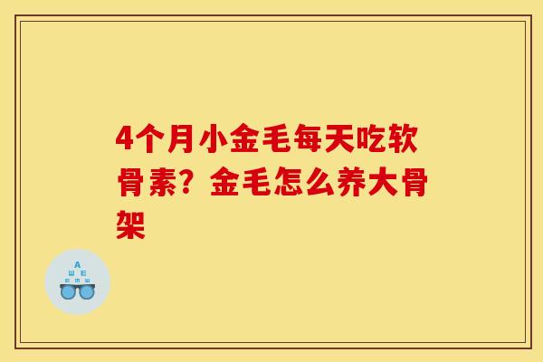 4个月小金毛每天吃软骨素？金毛怎么养大骨架