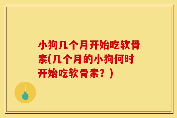 小狗几个月开始吃软骨素(几个月的小狗何时开始吃软骨素？)