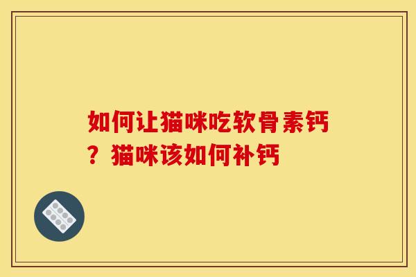 如何让猫咪吃软骨素钙？猫咪该如何补钙