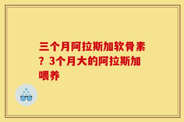 三个月阿拉斯加软骨素？3个月大的阿拉斯加喂养