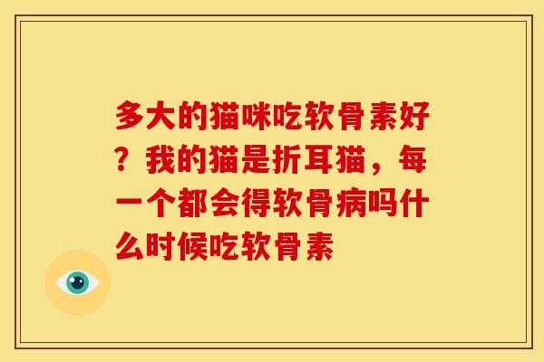 多大的猫咪吃软骨素好？我的猫是折耳猫，每一个都会得软骨病吗什么时候吃软骨素