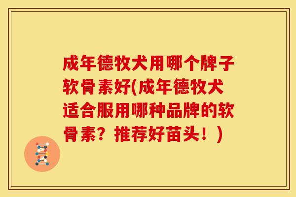 成年德牧犬用哪个牌子软骨素好(成年德牧犬适合服用哪种品牌的软骨素？推荐好苗头！)