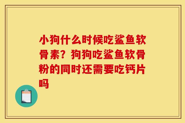 小狗什么时候吃鲨鱼软骨素？狗狗吃鲨鱼软骨粉的同时还需要吃钙片吗