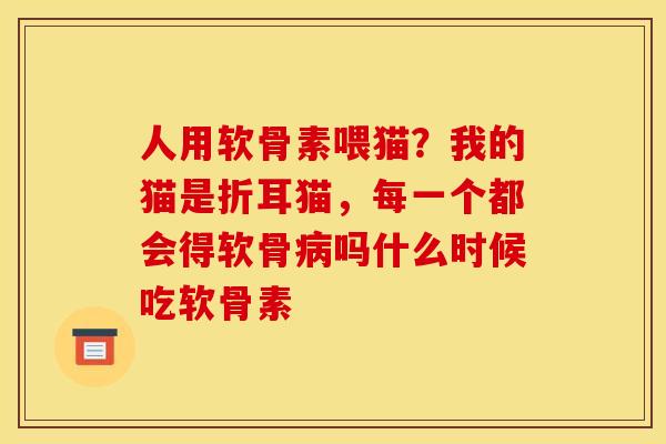 人用软骨素喂猫？我的猫是折耳猫，每一个都会得软骨病吗什么时候吃软骨素