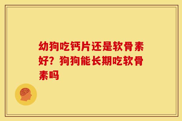 幼狗吃钙片还是软骨素好？狗狗能长期吃软骨素吗