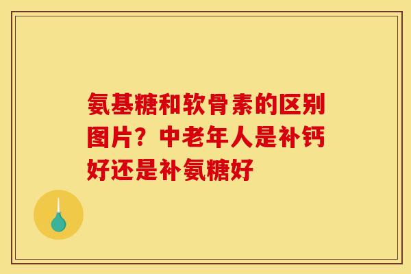 氨基糖和软骨素的区别图片？中老年人是补钙好还是补氨糖好