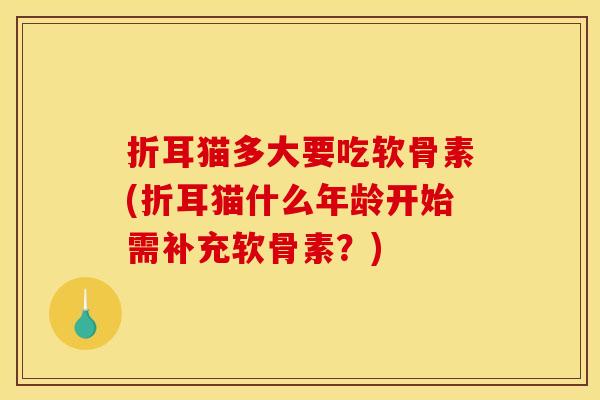 折耳猫多大要吃软骨素(折耳猫什么年龄开始需补充软骨素？)