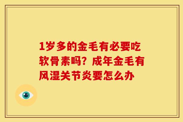 1岁多的金毛有必要吃软骨素吗？成年金毛有风湿关节炎要怎么办