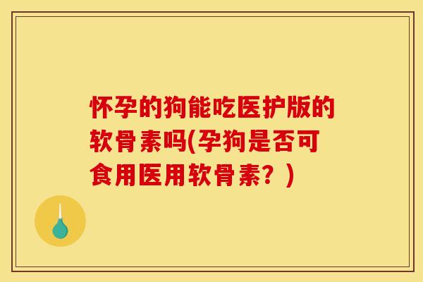 怀孕的狗能吃医护版的软骨素吗(孕狗是否可食用医用软骨素？)