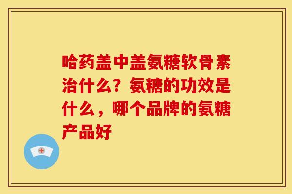 哈药盖中盖氨糖软骨素治什么？氨糖的功效是什么，哪个品牌的氨糖产品好