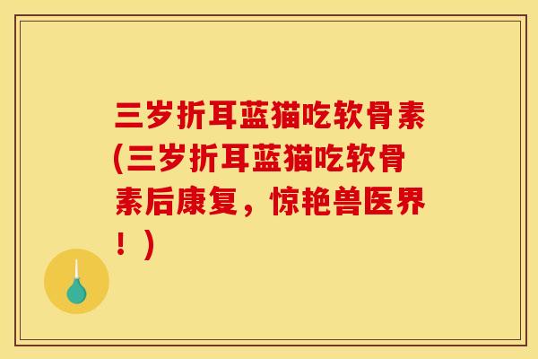 三岁折耳蓝猫吃软骨素(三岁折耳蓝猫吃软骨素后康复，惊艳兽医界！)