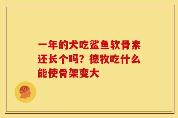 一年的犬吃鲨鱼软骨素还长个吗？德牧吃什么能使骨架变大