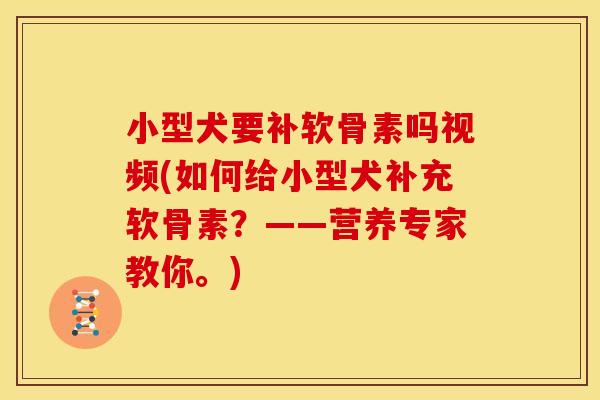小型犬要补软骨素吗视频(如何给小型犬补充软骨素？——营养专家教你。)