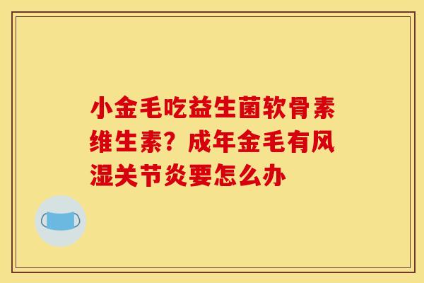 小金毛吃益生菌软骨素维生素？成年金毛有风湿关节炎要怎么办