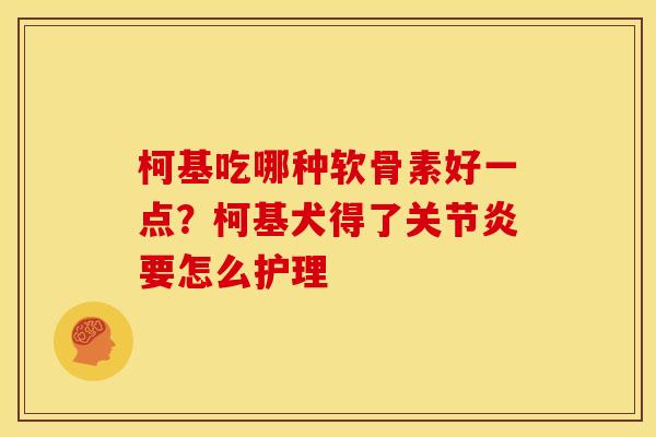 柯基吃哪种软骨素好一点？柯基犬得了关节炎要怎么护理
