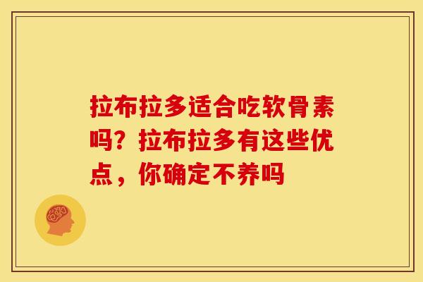 拉布拉多适合吃软骨素吗？拉布拉多有这些优点，你确定不养吗