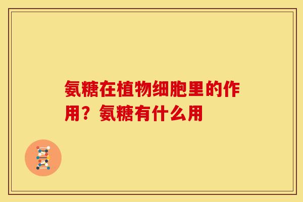 氨糖在植物细胞里的作用？氨糖有什么用