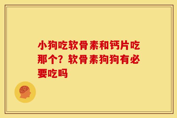 小狗吃软骨素和钙片吃那个？软骨素狗狗有必要吃吗