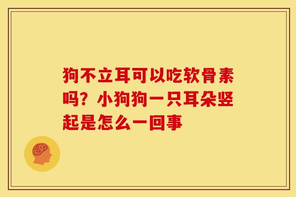 狗不立耳可以吃软骨素吗？小狗狗一只耳朵竖起是怎么一回事