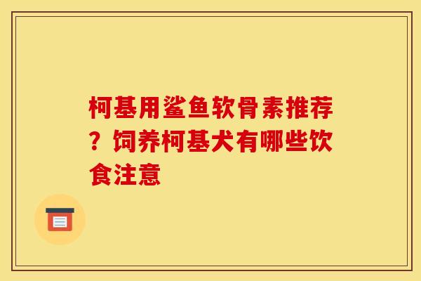 柯基用鲨鱼软骨素推荐？饲养柯基犬有哪些饮食注意