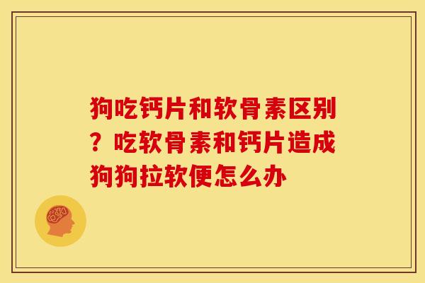狗吃钙片和软骨素区别？吃软骨素和钙片造成狗狗拉软便怎么办