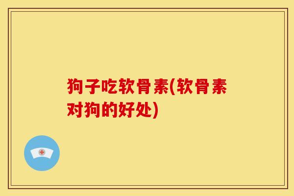 狗子吃软骨素(软骨素对狗的好处)