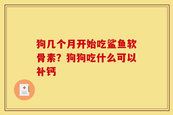 狗几个月开始吃鲨鱼软骨素？狗狗吃什么可以补钙