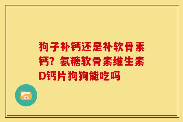 狗子补钙还是补软骨素钙？氨糖软骨素维生素D钙片狗狗能吃吗