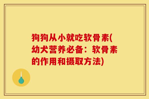 狗狗从小就吃软骨素(幼犬营养必备：软骨素的作用和摄取方法)