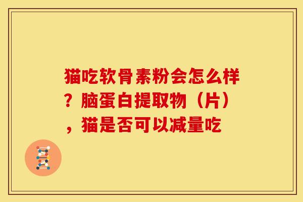 猫吃软骨素粉会怎么样？脑蛋白提取物（片），猫是否可以减量吃