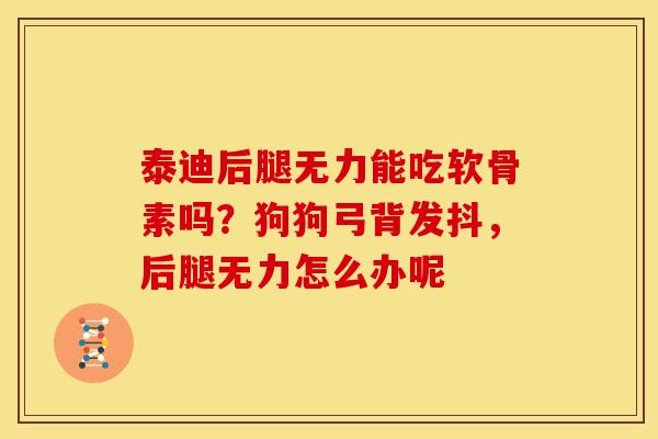 泰迪后腿无力能吃软骨素吗？狗狗弓背发抖，后腿无力怎么办呢