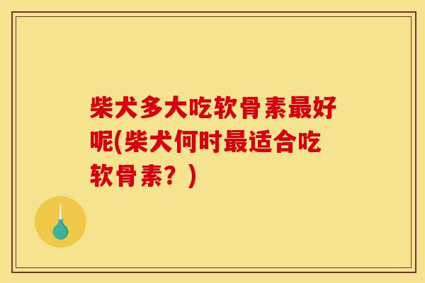 柴犬多大吃软骨素最好呢(柴犬何时最适合吃软骨素？)