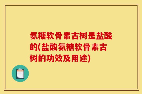 氨糖软骨素古树是盐酸的(盐酸氨糖软骨素古树的功效及用途)
