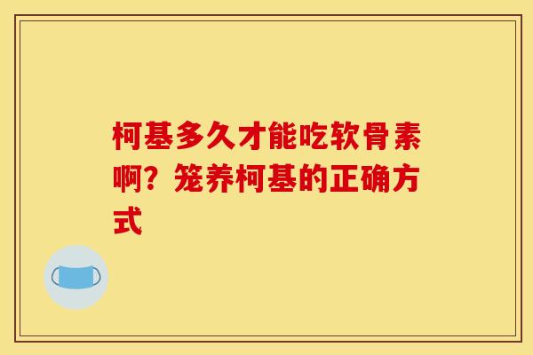 柯基多久才能吃软骨素啊？笼养柯基的正确方式