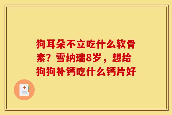狗耳朵不立吃什么软骨素？雪纳瑞8岁，想给狗狗补钙吃什么钙片好