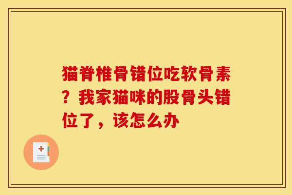 猫脊椎骨错位吃软骨素？我家猫咪的股骨头错位了，该怎么办