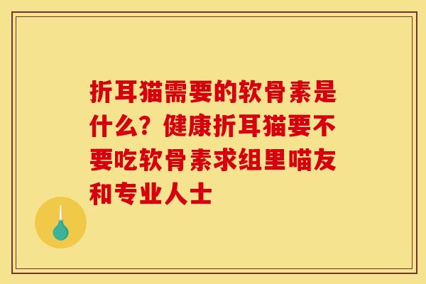 折耳猫需要的软骨素是什么？健康折耳猫要不要吃软骨素求组里喵友和专业人士