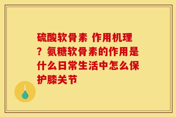 硫酸软骨素 作用机理？氨糖软骨素的作用是什么日常生活中怎么保护膝关节