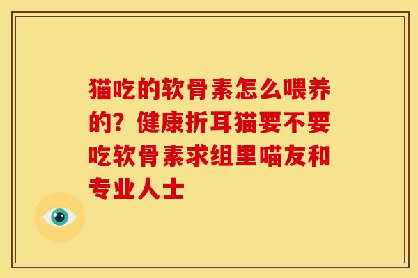 猫吃的软骨素怎么喂养的？健康折耳猫要不要吃软骨素求组里喵友和专业人士
