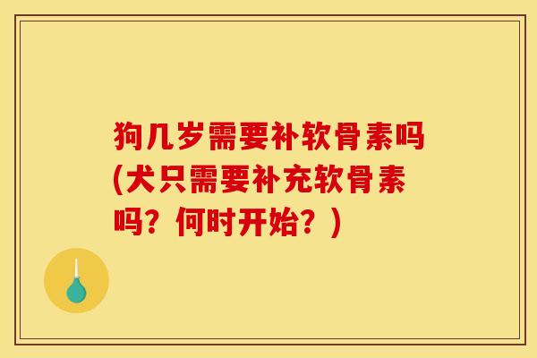 狗几岁需要补软骨素吗(犬只需要补充软骨素吗？何时开始？)