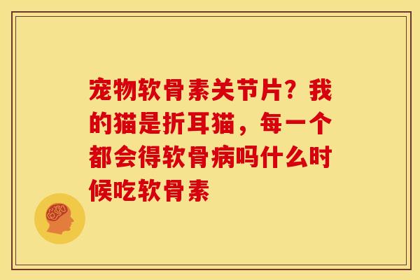 宠物软骨素关节片？我的猫是折耳猫，每一个都会得软骨病吗什么时候吃软骨素