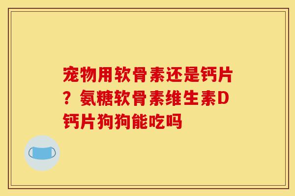 宠物用软骨素还是钙片？氨糖软骨素维生素D钙片狗狗能吃吗