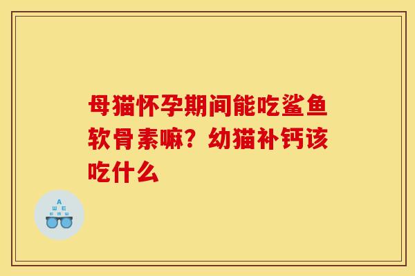 母猫怀孕期间能吃鲨鱼软骨素嘛？幼猫补钙该吃什么