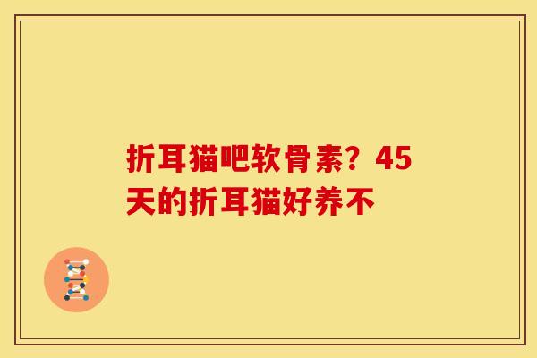 折耳猫吧软骨素？45天的折耳猫好养不