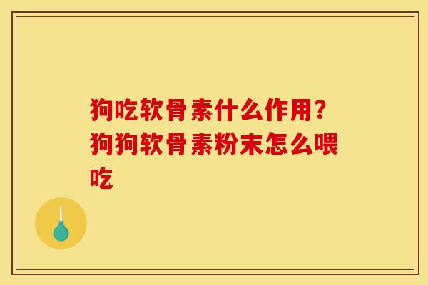 狗吃软骨素什么作用？狗狗软骨素粉末怎么喂吃