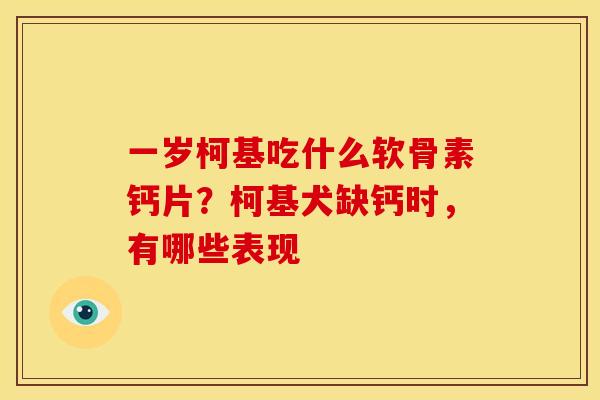 一岁柯基吃什么软骨素钙片？柯基犬缺钙时，有哪些表现