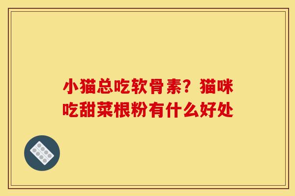 小猫总吃软骨素？猫咪吃甜菜根粉有什么好处