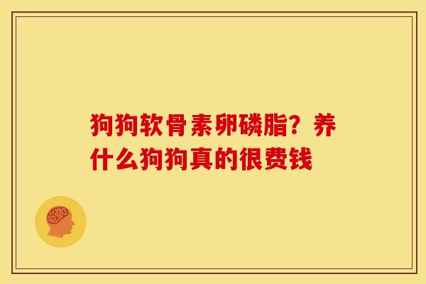 狗狗软骨素卵磷脂？养什么狗狗真的很费钱
