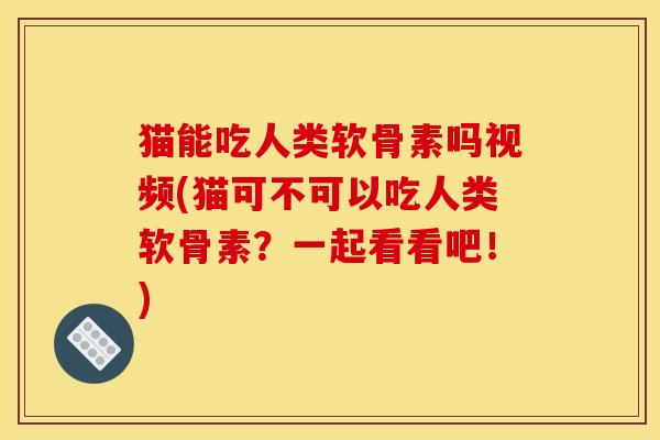 猫能吃人类软骨素吗视频(猫可不可以吃人类软骨素？一起看看吧！)